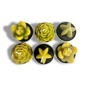 Cactus Candles Tealight Succulent Votive Candles 6pc